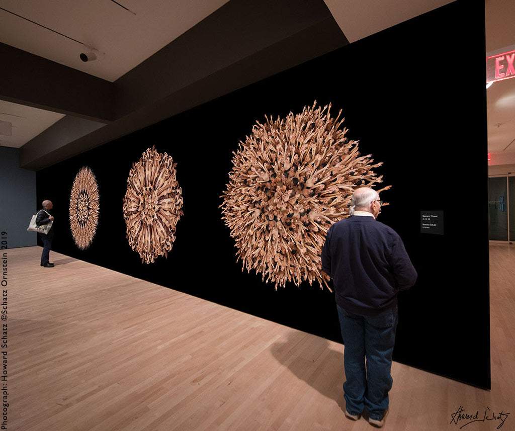 Installation 170 - Dancers Flowers by Howard Schatz