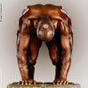 Human Body Study 1255 by Howard Schatz