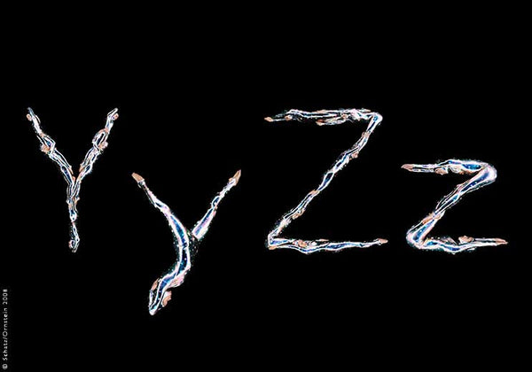 Dance Font - Y and Z by Howard Schatz