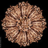 Dancers Flower #4 by Howard Schatz