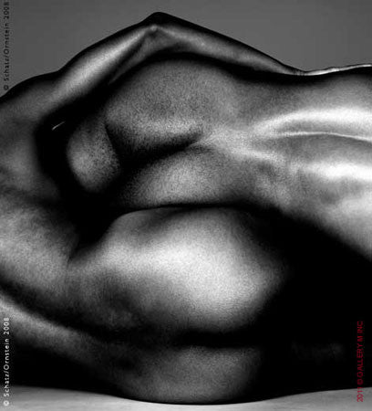 Folds Study 1432 by Howard Schatz