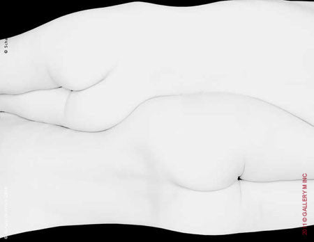 Folds Study 1453 by Howard Schatz