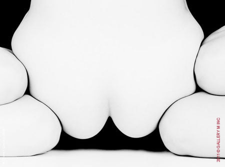 Folds Study 1491 by Howard Schatz