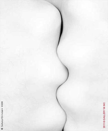 Folds Study 1070 by Howard Schatz