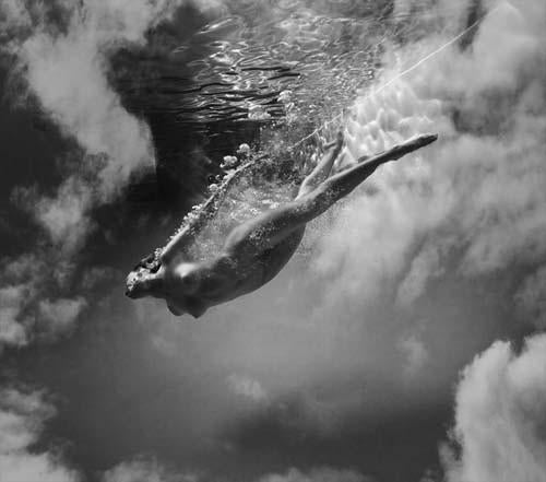 Howard Schatz UW 2923