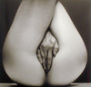 Nude Body Nude #264 by Howard Schatz