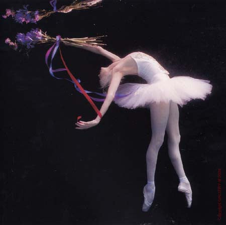 Underwater Study #1657 by Howard Schatz
