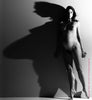 Pregnancy Study #1211 by Howard Schatz