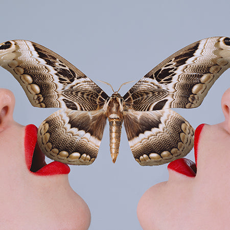 Butterfly by Tyler Shields at GALLERY M