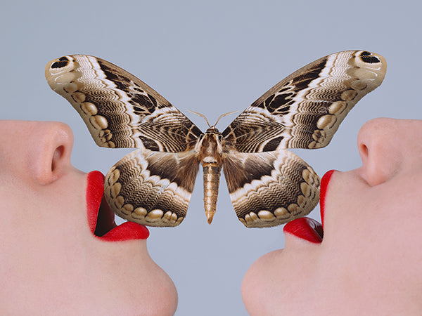 Butterfly by Tyler Shields at GALLERY M