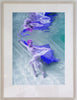 Underwater Study #1647, Shawnee Free Jones Framed